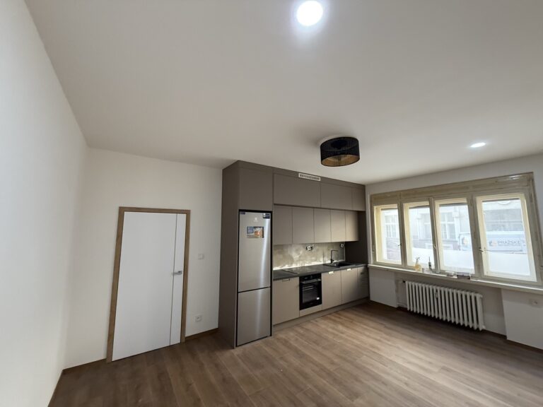 Prazskerekonstrukce__114